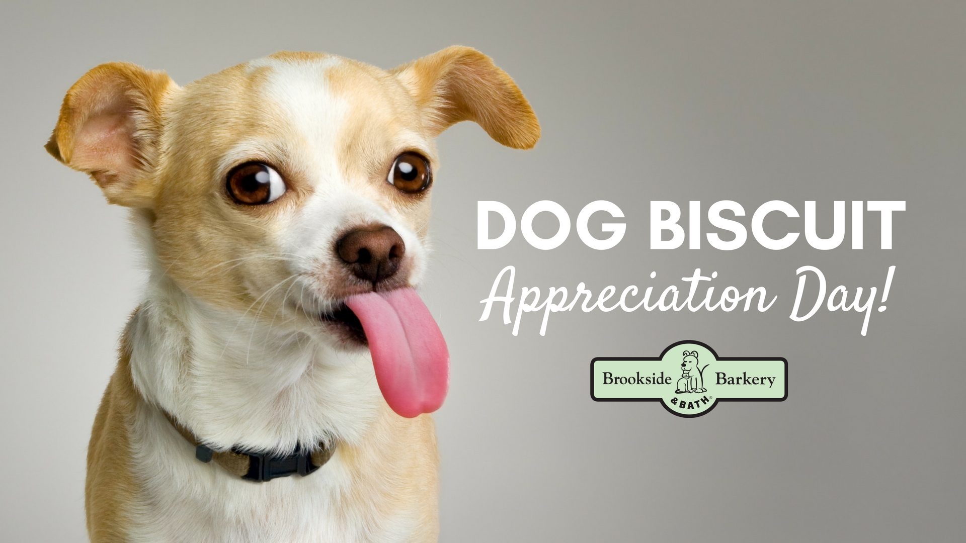 Dog Biscuit Appreciation Day