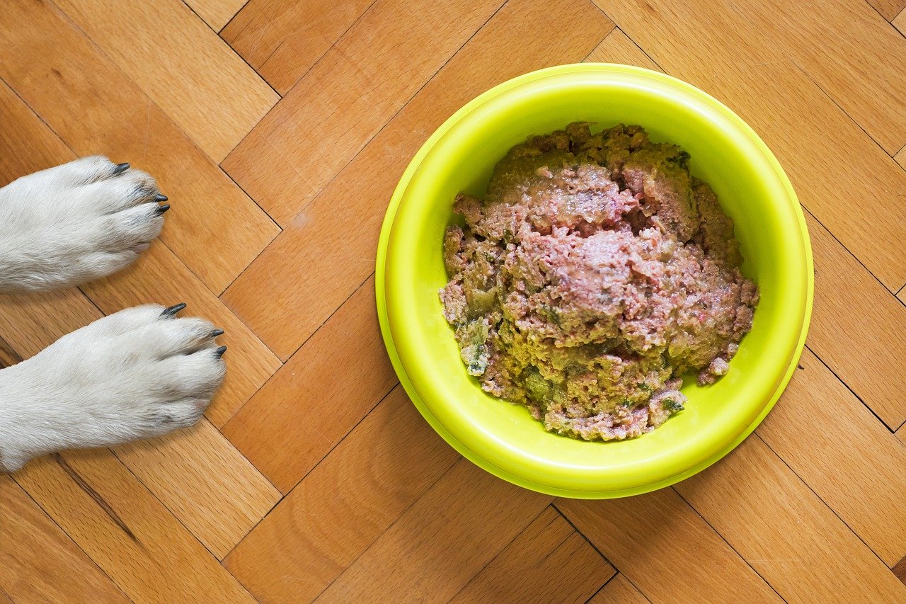 How to Boost Your Dog’s Kibble