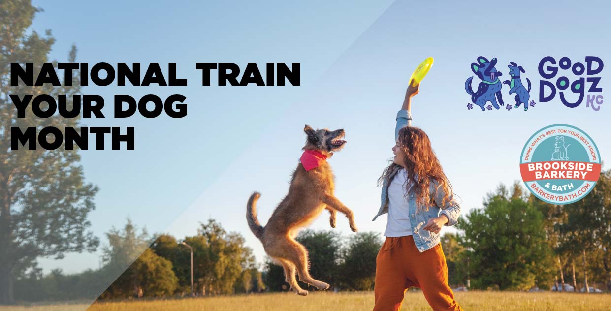 National Dog Training Month featuring Good Dogz KC