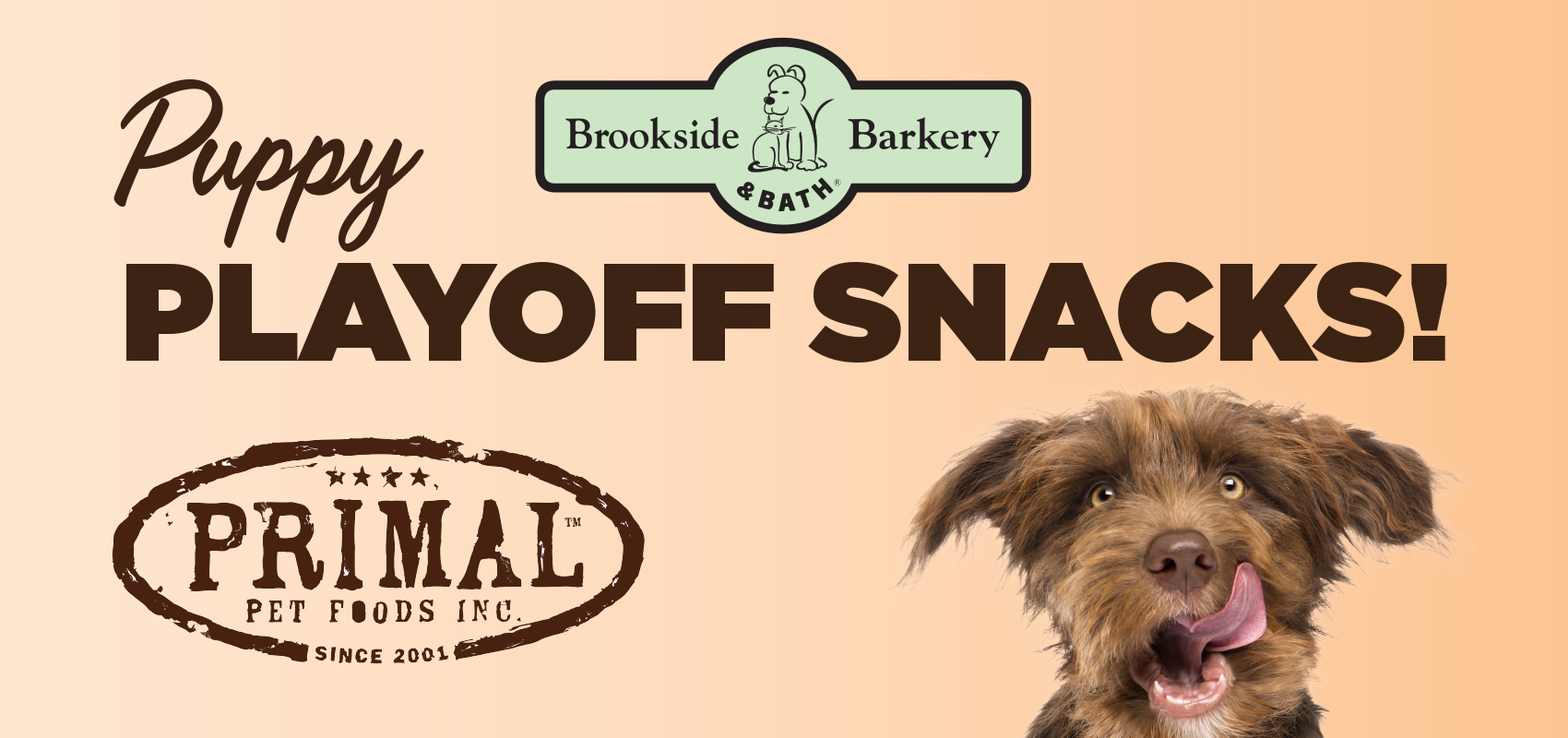 Puppy Playoff Snacks with Primal Pet Foods