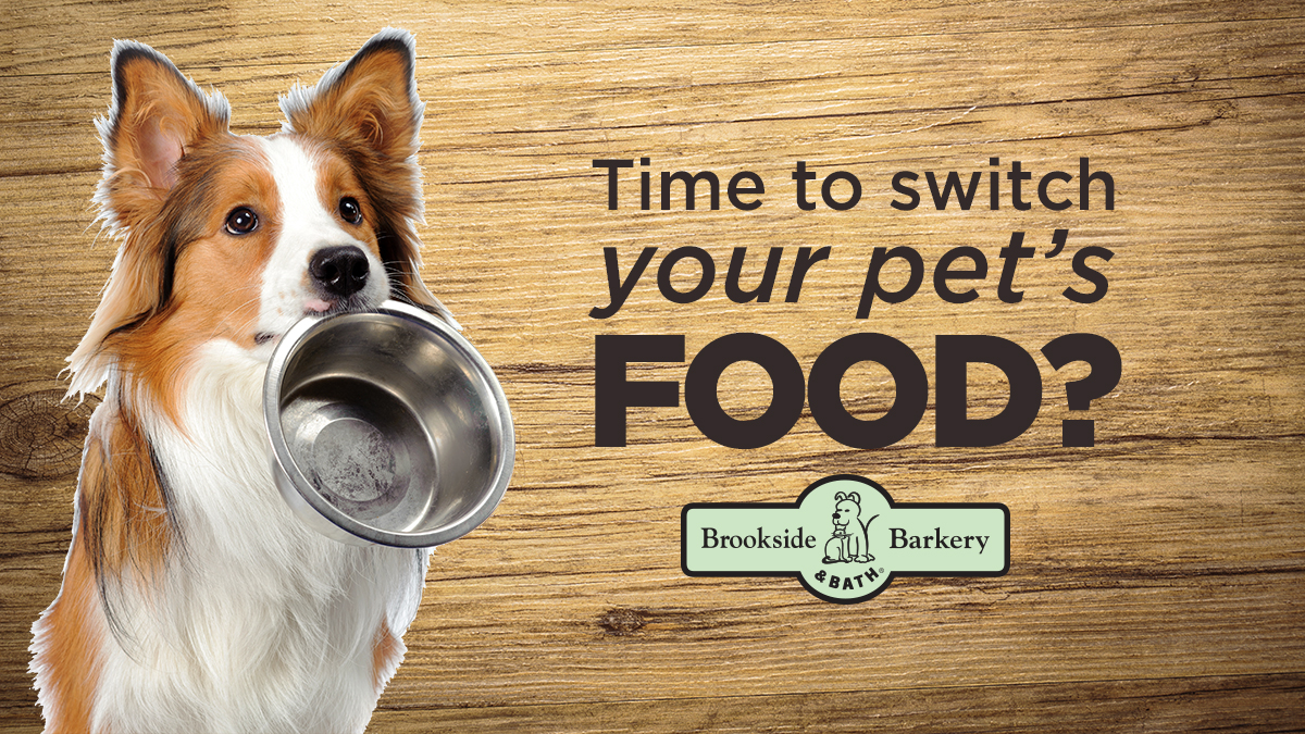 Is it time to switch your pet’s food?